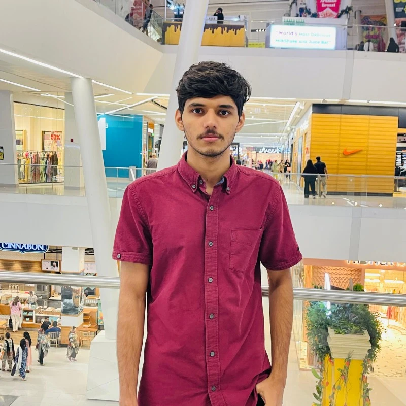 SEO Executive (Ali)